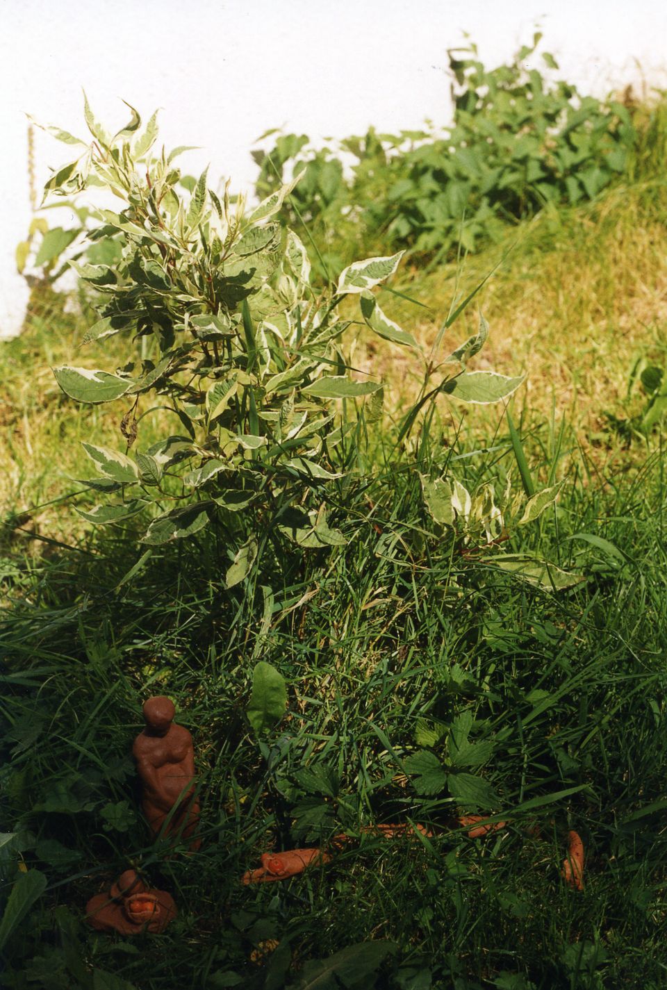 1999_08_Sachemont_11-